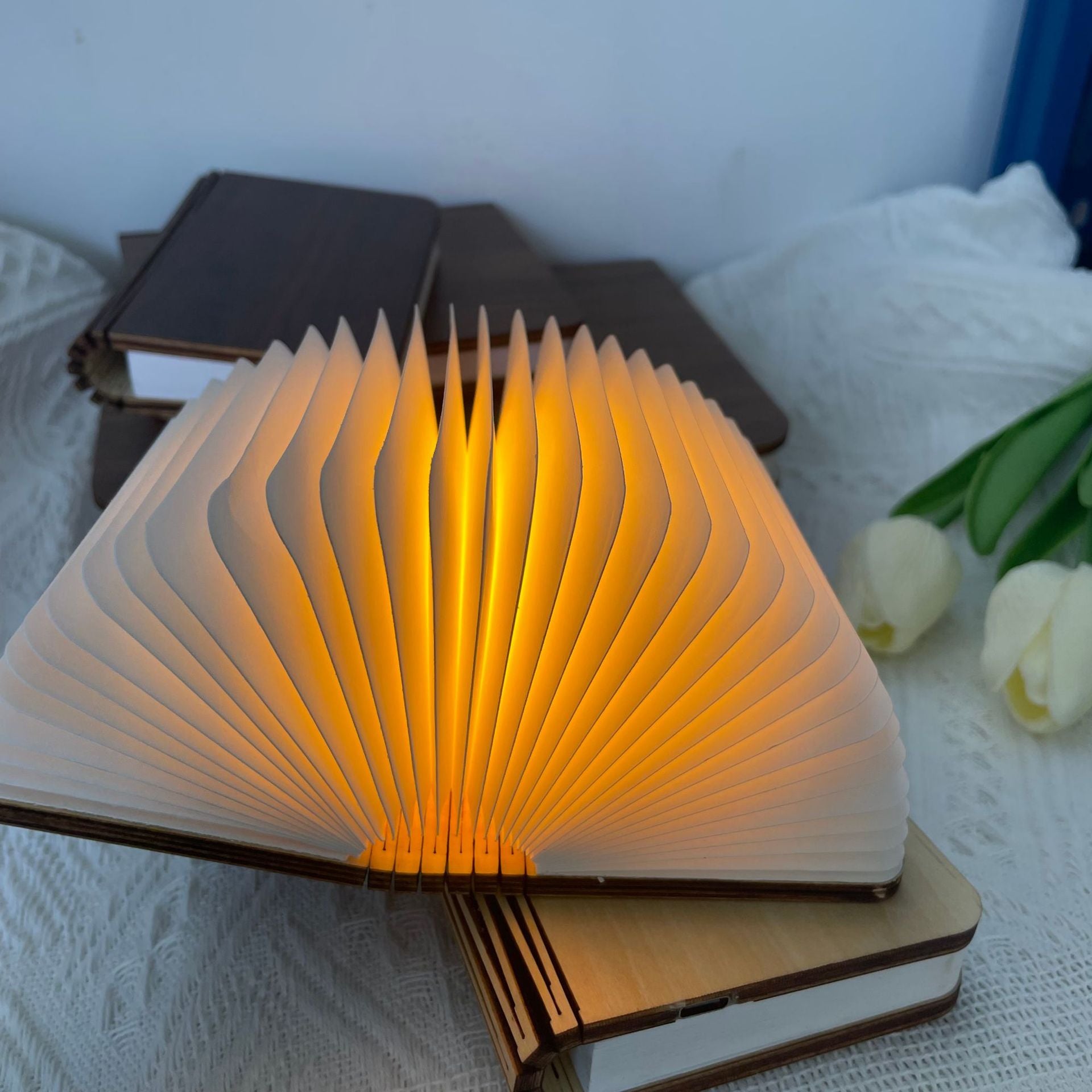 3D Book Lamp